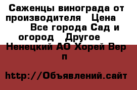Саженцы винограда от производителя › Цена ­ 800 - Все города Сад и огород » Другое   . Ненецкий АО,Хорей-Вер п.